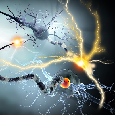 Image representing P248 Seizures